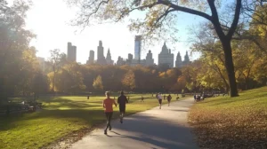 Central Park Nowy Jork