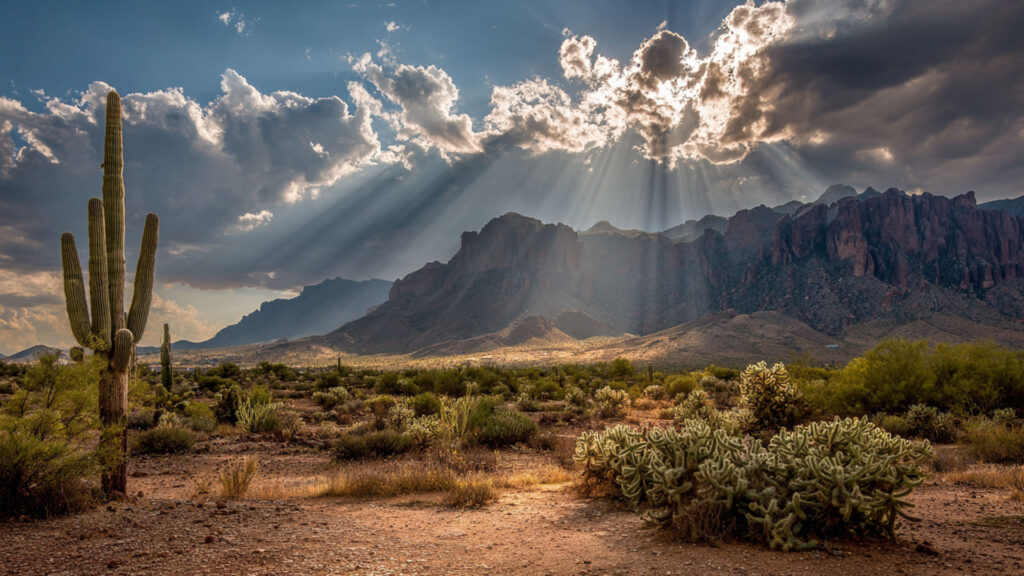 Co warto wiedzieć o Arizonie